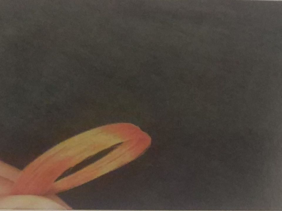 北京初级美发培训